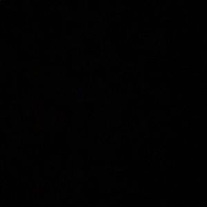 Meet your Posher, Sammie